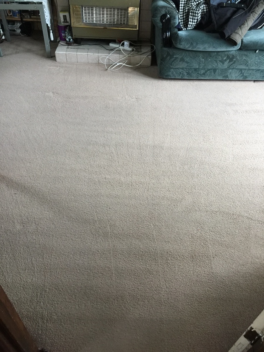 Cleaner: Image 14